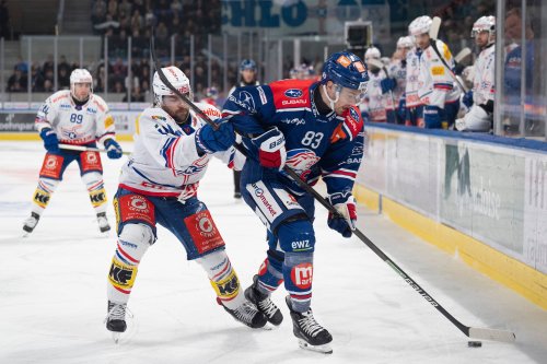 Auf Dominanz folgt Mini-Sieg: Dritter ZSC-Sieg gegen Kloten