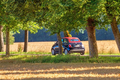 Preise, Modelle, Destinationen: So nutzen Schweizer Mietautos