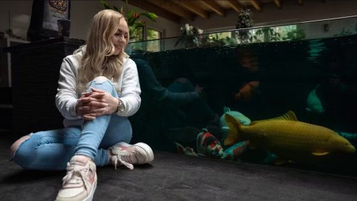 «Mes clients ont jusqu’à un million de francs dans leur bassin»