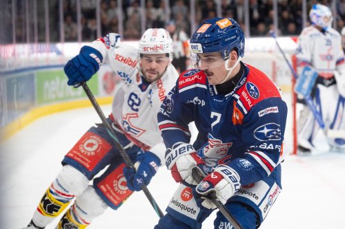 Spiel 4 in Kloten: Macht Meister ZSC Halbfinal-Einzug perfekt?