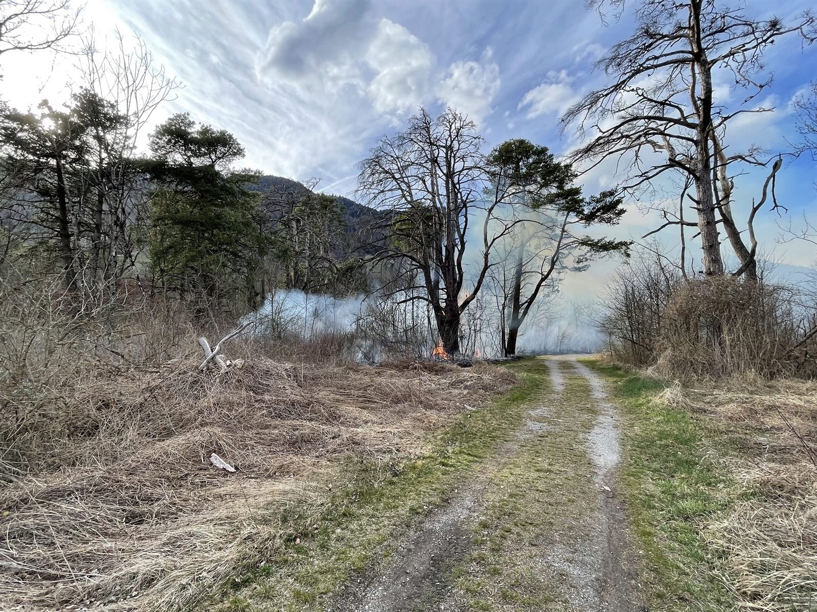 4200 Quadratmeter Wald brannten