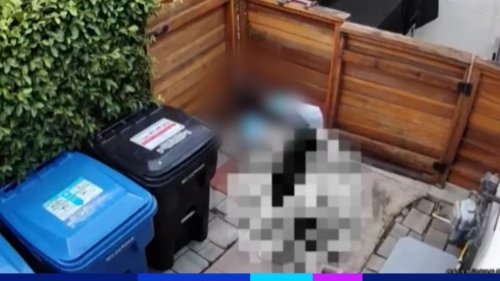 Une livreuse Amazon dérape complètement pour la fête des mères