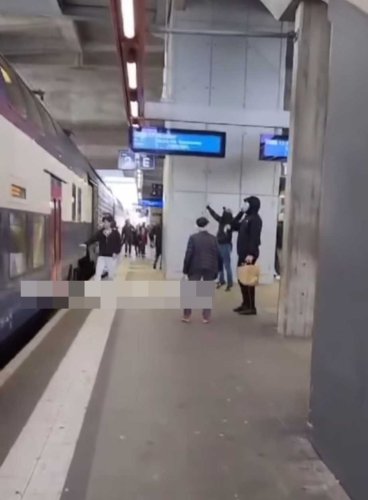 Polizei hat die GC-Chaoten erwischt, die die S9 stürmten