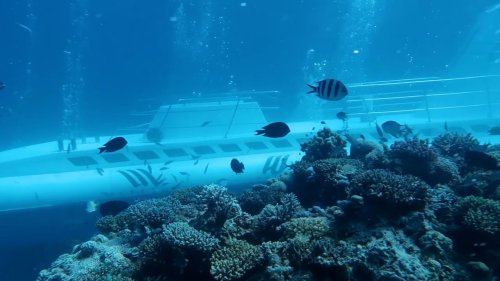 So werben die Veranstalter für U-Boot-Fahrten