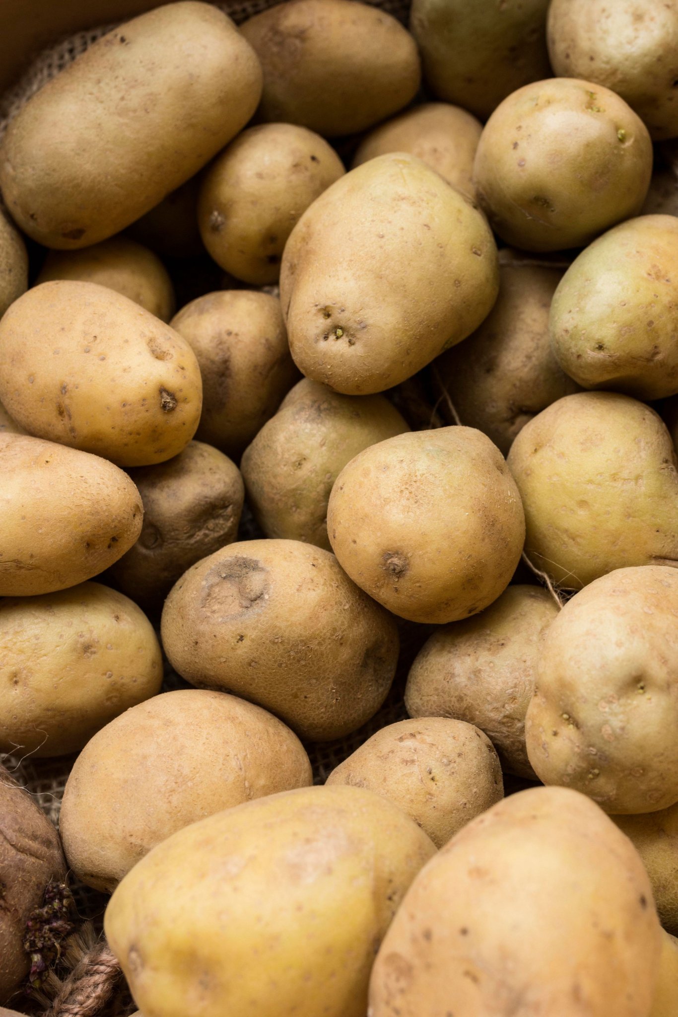 Un produit toxique et cancérigène se cachait dans leurs patates
