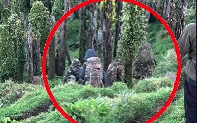 Polizei nimmt Jagd auf in der Wildnis versteckte Familie neu auf