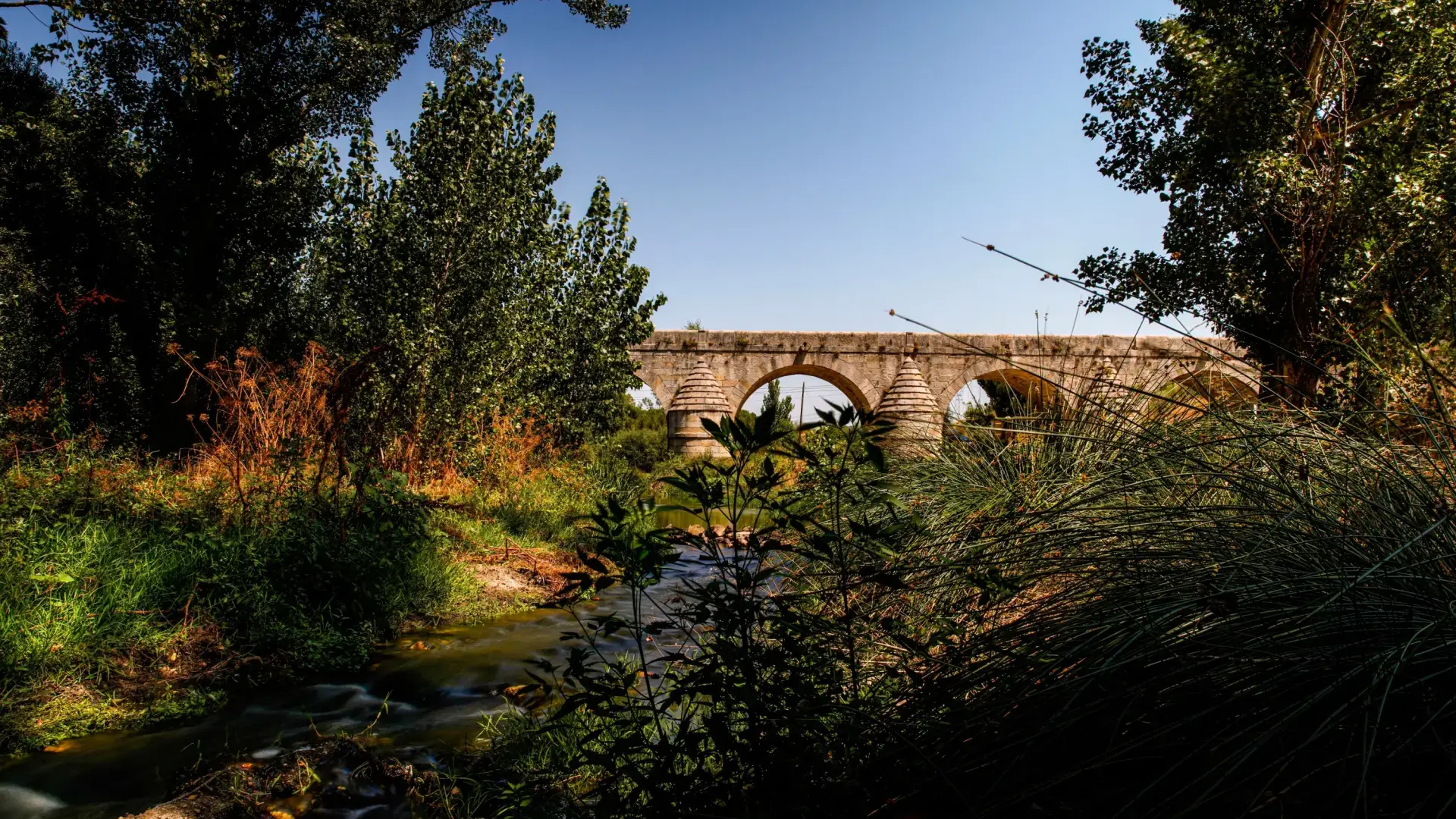 Este es el primer Sendero Azul de la Comunidad de Madrid, una ruta sorprendente y sencilla