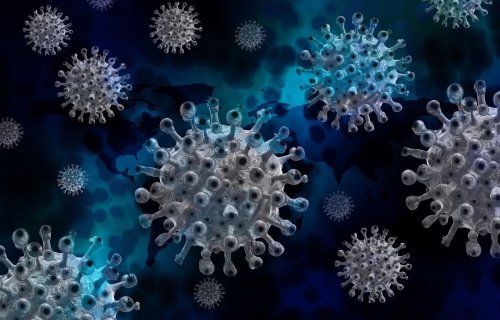 Un nouveau virus aurait été découvert en Chine, une trentaine de personnes infectées