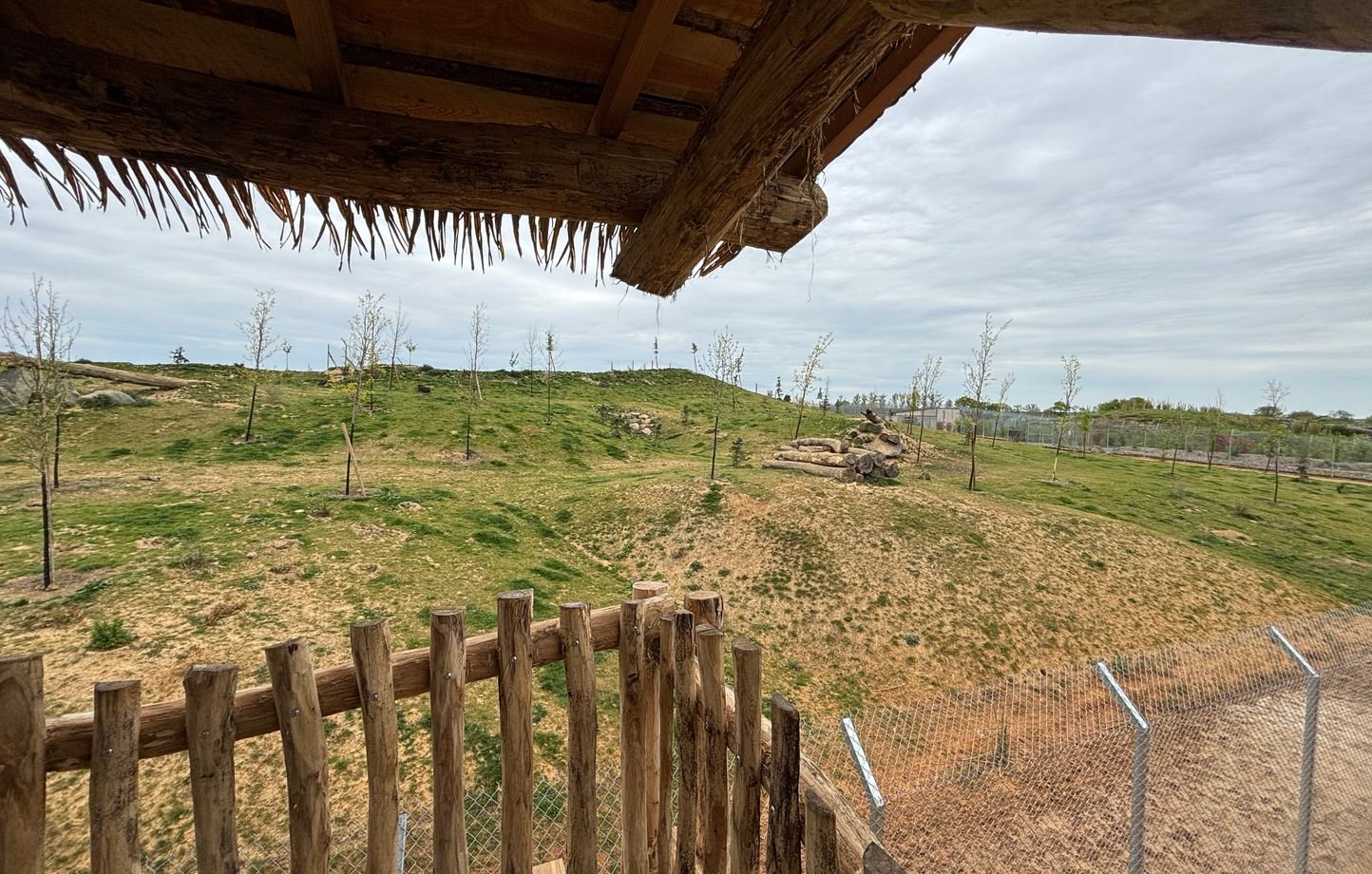 « Nos animaux sont heureux » : Ces zoos qui mettent le paquet pour construire des enclos XXL