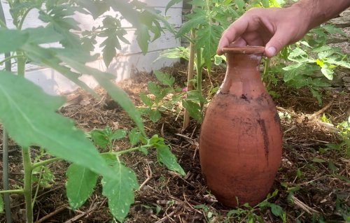Sécheresse : « On arrose moins, et mieux ! » Dans les jardins, le retour en force des oyas