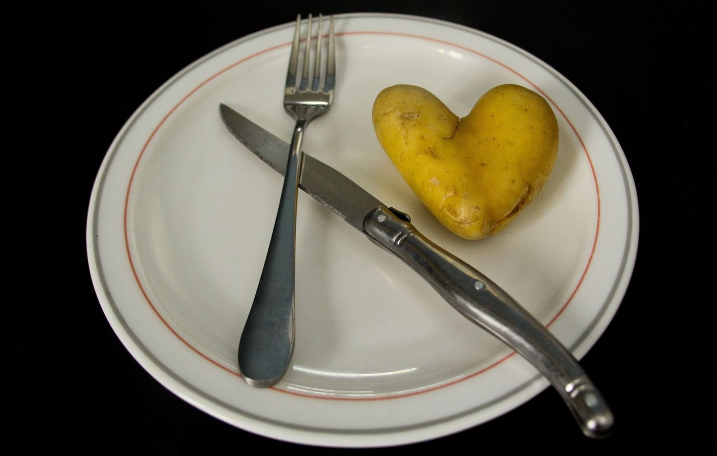 Addition à 980 euros, 2h30 à table… Bref, ils sont allés au resto pour la Saint-Valentin