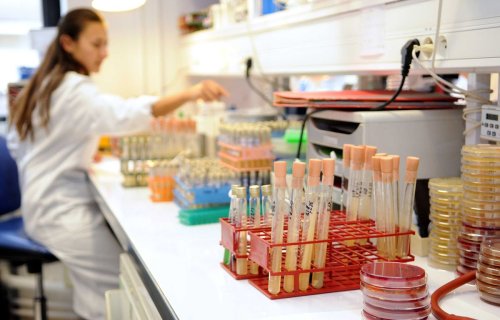 Shigellose : Ce que l’on sait de cette maladie résistante aux antibiotiques et qui circule en France