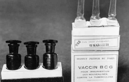 Coronavirus à Lille : Et si un des plus vieux vaccins du monde se montrait efficace contre le Covid pour les diabétiques