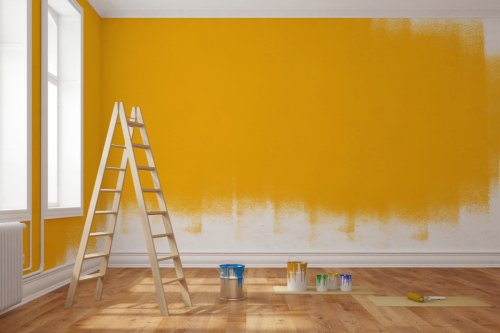 Know the different types of paint: The ultimate guide for painting your walls