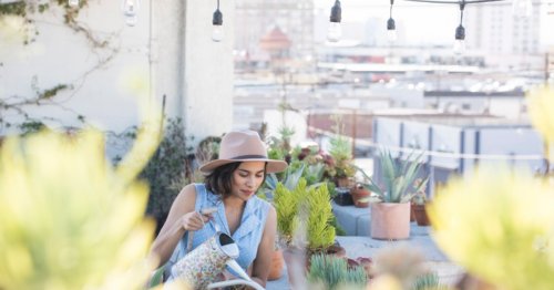 A rooftop garden is the summer oasis you need: Your ultimate care guide