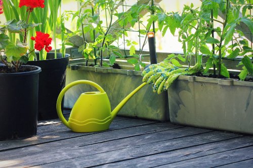 Garden And Concepts cover image