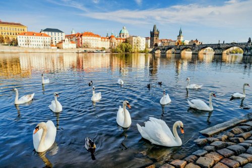 Prag Fotospots: Die 11 schönsten Orte zum Fotografieren