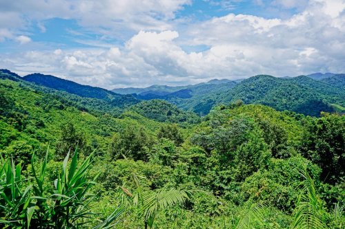 Laos Reisezeit