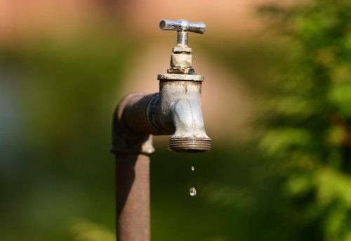 Eastern Cape dam levels record marginal decrease, residents urged to use water sparingly | News24