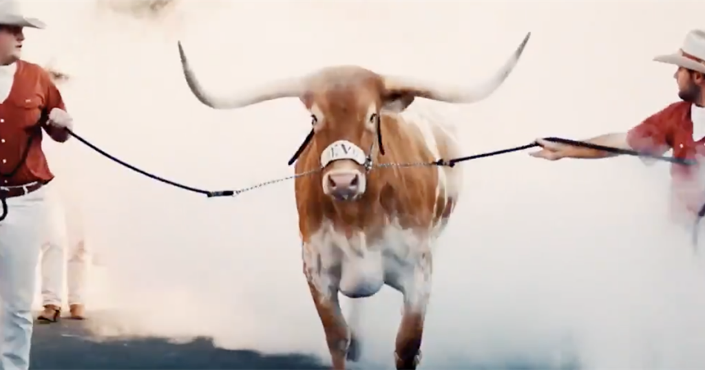 Texas Longhorns College Football, Basketball and Recruiting on 247Sports - cover