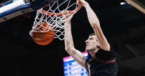 Washington lands former Florida State forward Christian Nitu