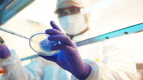 Novo Nordisk (NYSE: NVO) Stock Price Prediction and Forecast 2025-2030 (April 2025)
