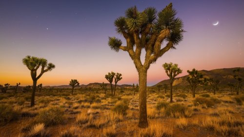 The Largest and Smallest National Parks in America