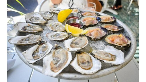 Best Oyster Bars in America