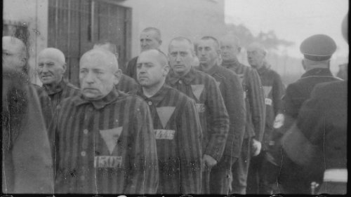 20 Horrifying Images of Auschwitz