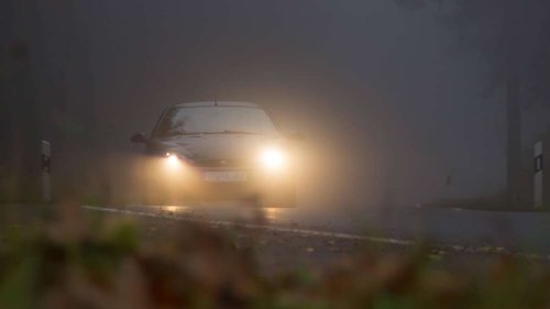 Nebel, Laub und Wildwechsel: Worauf Autofahrer im Herbst verstärkt achten müssen