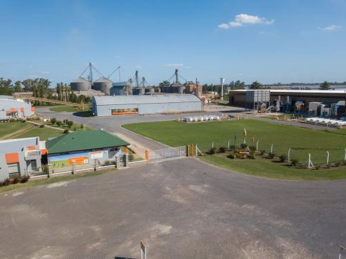 Semillero argentino adquiere negocio de maíz y sorgo multinacional, expandiéndose en Latinoamérica