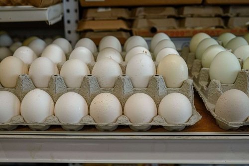 Pourquoi les œufs disparaissent-ils des rayons sans pénurie apparente ?