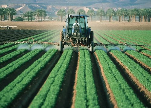 Pesticides : l’État français sous-estimerait la nocivité de certains produits, le Conseil d’État saisit