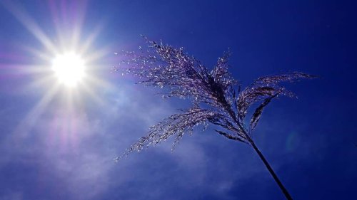 Météo : phénomène climatique du Pacifique équatorial, El Niño est de retour annonce l’agence océanographique américaine