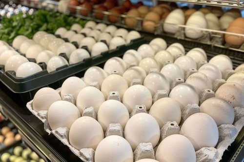 Face à la pénurie, les États-Unis en quête d'œufs à l'international