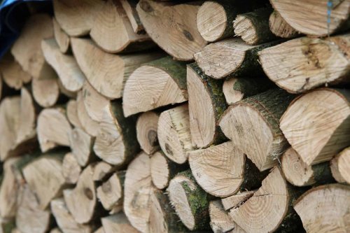 Énergie : jusqu'à 200 euros d'aide pour les foyers se chauffant au bois