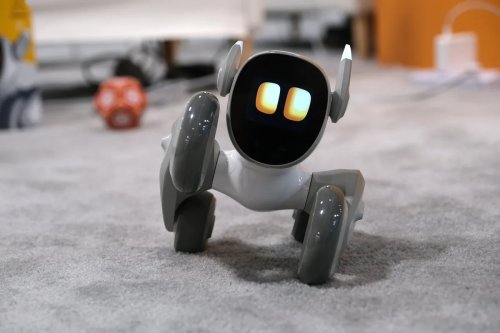 Loona, l'adorable petit robot qui va vous faire fondre
