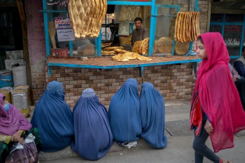 'This is our homeland' : women plead for basic rights in Afghanistan