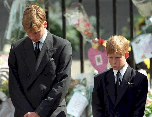 William and Harry reunite for Diana statue tribute