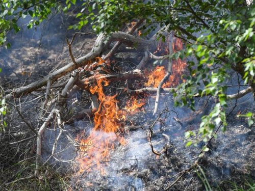 Waldbrand in Lieberoser Heide ausgebrochen