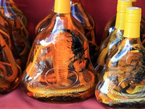 Whisky-Spezialität aus Laos – Grusel-Video zeigt Insekten-Drink
