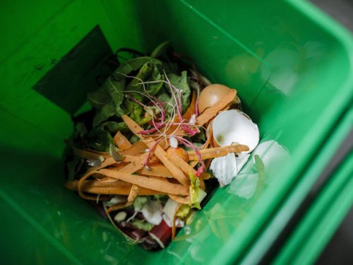 Alltägliche Frage: Sind kompostierbare Müllsäcke für die Biotonne geeignet?