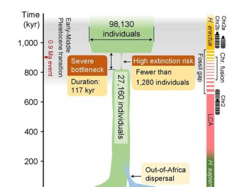 Menschheit beinahe ausgelöscht: Vor 800.000 Jahren starben 99 Prozent der menschlichen Bevölkerung aus