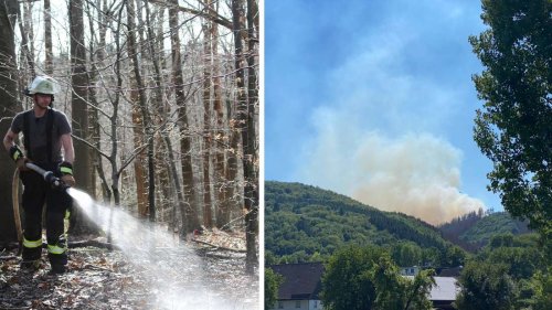 Plettenberg: Waldbrand im Bommecketal unter Kontrolle – Einsatz läuft weiter