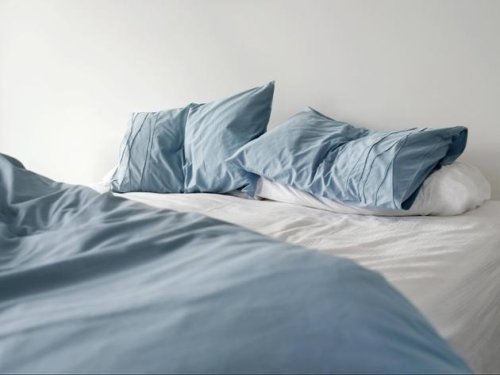 Ungewollte Kuscheleinheit: Wie Sie Bettwanzen aus Ihrem Bett verbannen