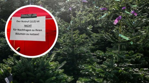 „Notruf nicht für Nachfragen“: Feuerwehr überrascht mit Aushang bei Weihnachtsbaum-Verkauf