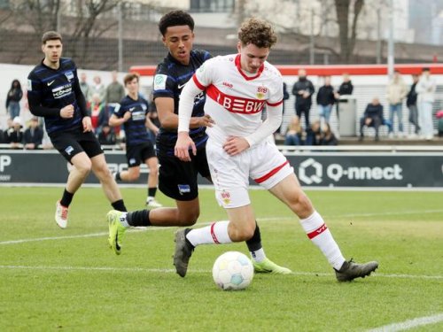 Zweiter Transfer: 1. FC Köln holt Sommer-Neuzugang von Hertha BSC