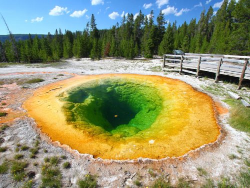 Fatale Auswirkungen des Tourismus: Naturwunder im Yellowstone Park wohl zerstört