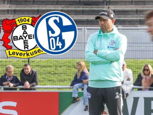 Schalke-Startelf in Leverkusen: Kramer nennt den Ersatz für Sepp van den Berg
