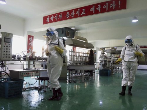 Corona in Nordkorea: Luftballons aus Südkorea sollen das Virus eingeschleppt haben